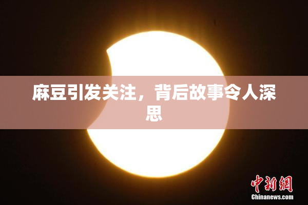 麻豆引发关注，背后故事令人深思