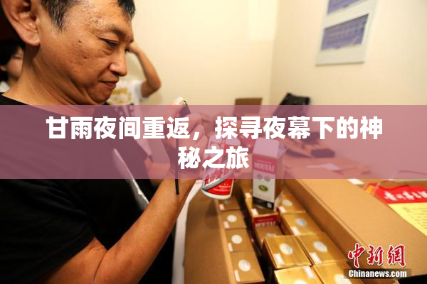 甘雨夜间重返，探寻夜幕下的神秘之旅