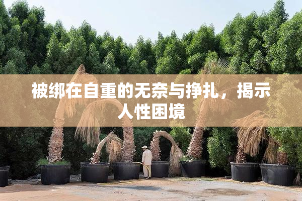 被绑在自重的无奈与挣扎，揭示人性困境