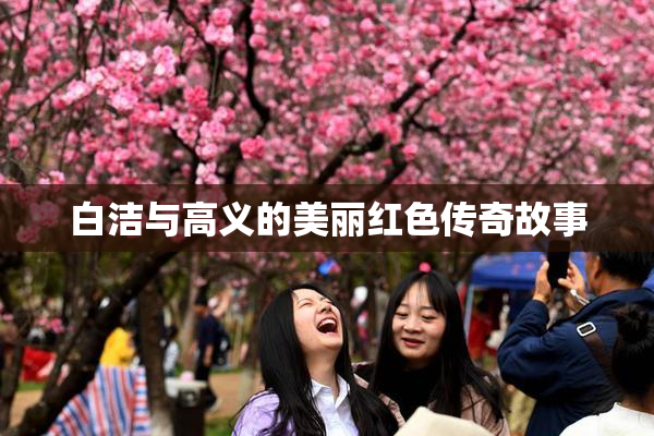 白洁与高义的美丽红色传奇故事