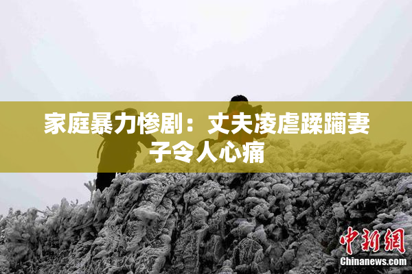 家庭暴力惨剧：丈夫凌虐蹂躏妻子令人心痛