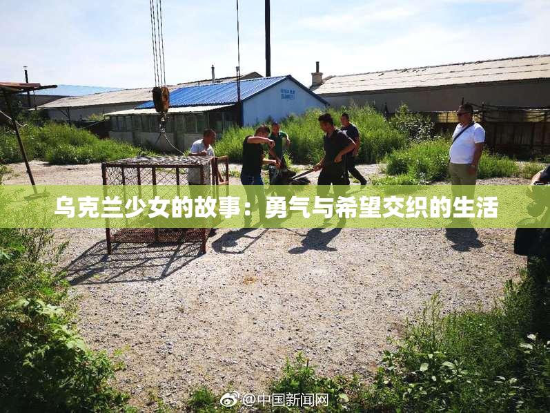 乌克兰少女的故事：勇气与希望交织的生活