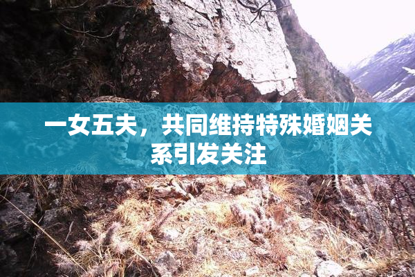 一女五夫，共同维持特殊婚姻关系引发关注