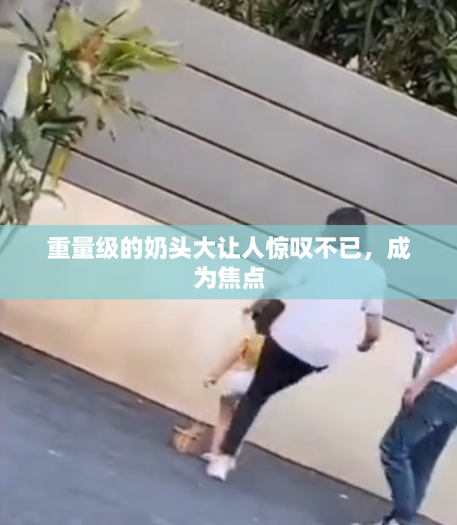 重量级的奶头大让人惊叹不已，成为焦点