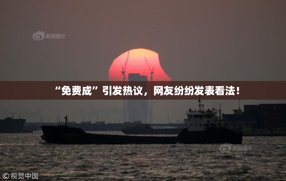 “免费成”引发热议，网友纷纷发表看法！