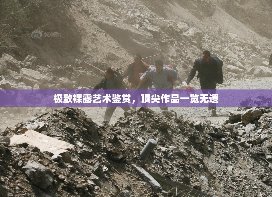 极致裸露艺术鉴赏，顶尖作品一览无遗