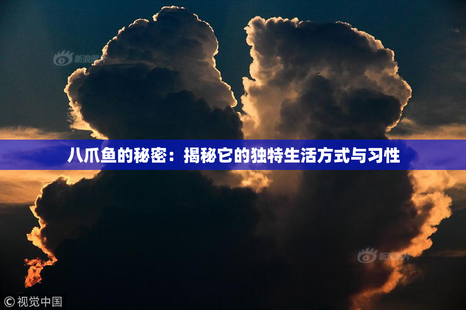 八爪鱼的秘密：揭秘它的独特生活方式与习性