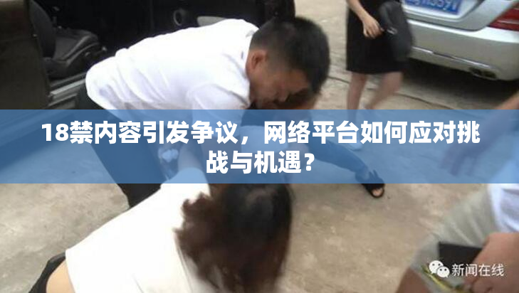18禁内容引发争议，网络平台如何应对挑战与机遇？