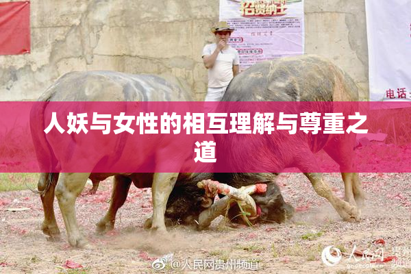 人妖与女性的相互理解与尊重之道