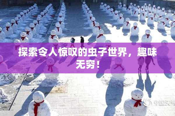 探索令人惊叹的虫子世界，趣味无穷！