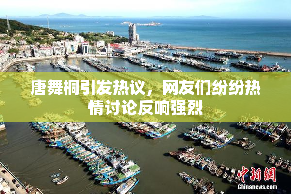唐舞桐引发热议，网友们纷纷热情讨论反响强烈