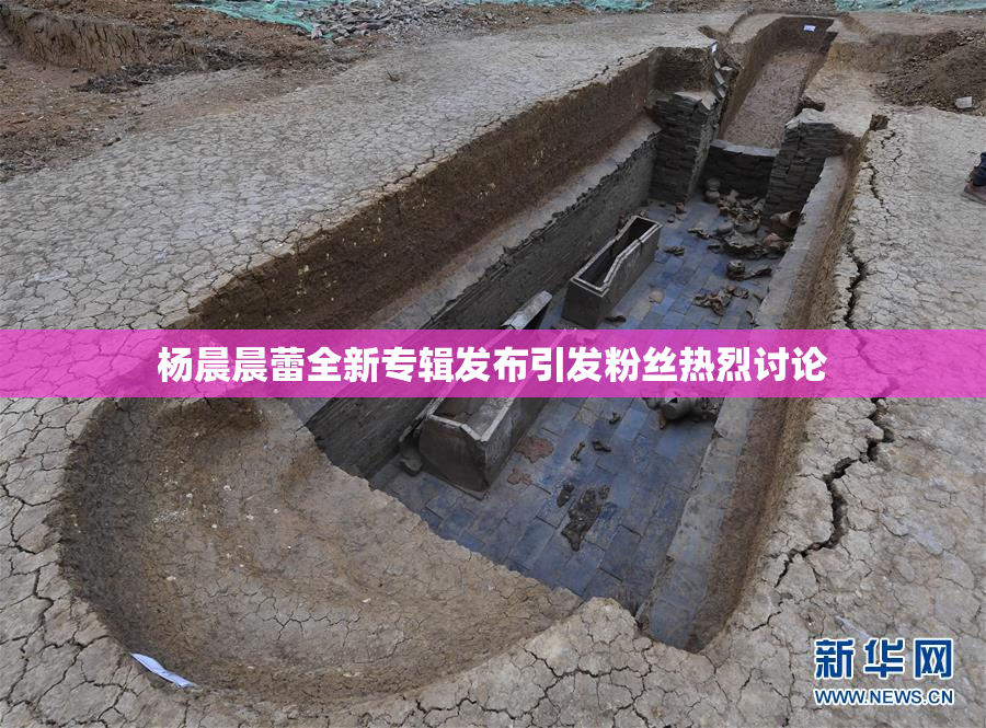 杨晨晨蕾全新专辑发布引发粉丝热烈讨论