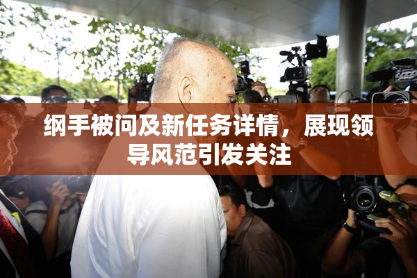 纲手被问及新任务详情，展现领导风范引发关注