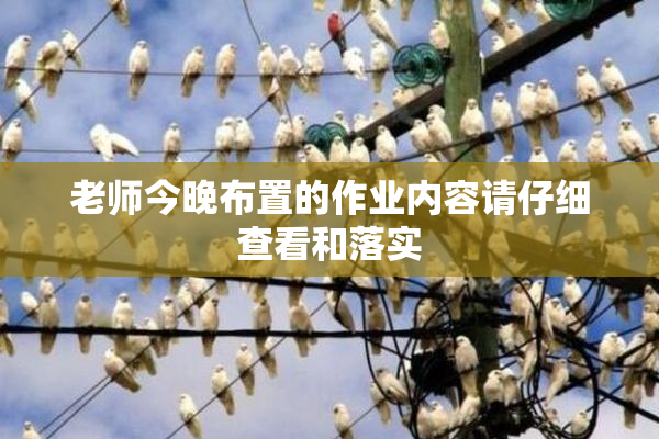老师今晚布置的作业内容请仔细查看和落实