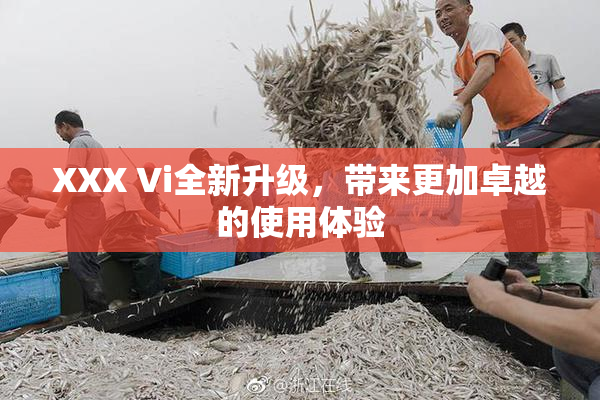 XXX Vi全新升级，带来更加卓越的使用体验
