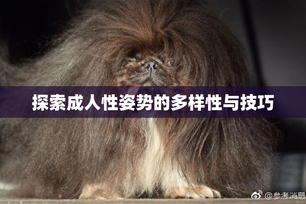 探索成人性姿势的多样性与技巧