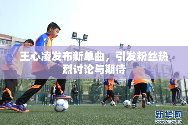 王心凌发布新单曲，引发粉丝热烈讨论与期待