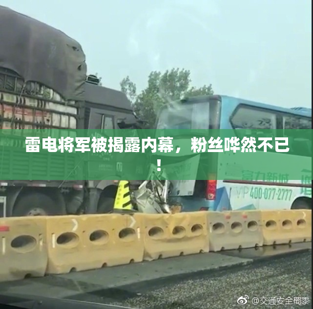 雷电将军被揭露内幕，粉丝哗然不已！