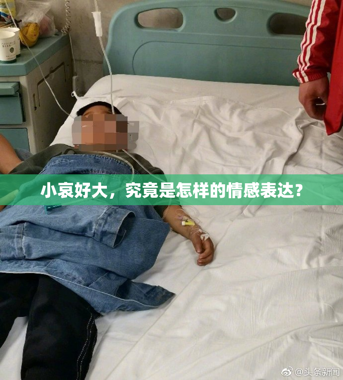 小哀好大，究竟是怎样的情感表达？