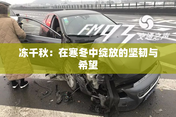 冻千秋：在寒冬中绽放的坚韧与希望