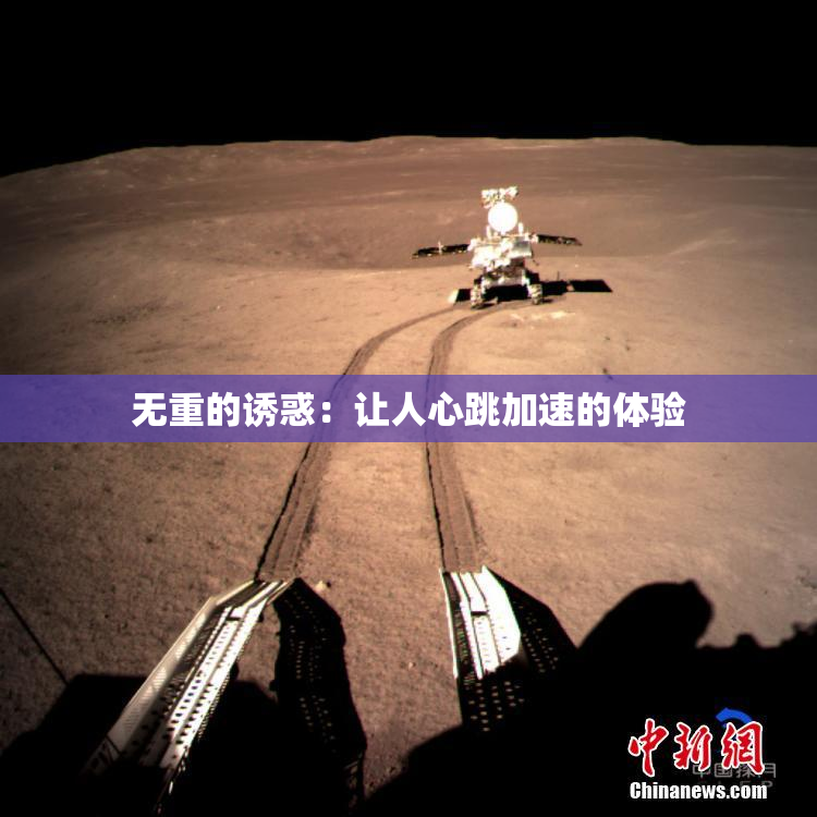 无重的诱惑：让人心跳加速的体验