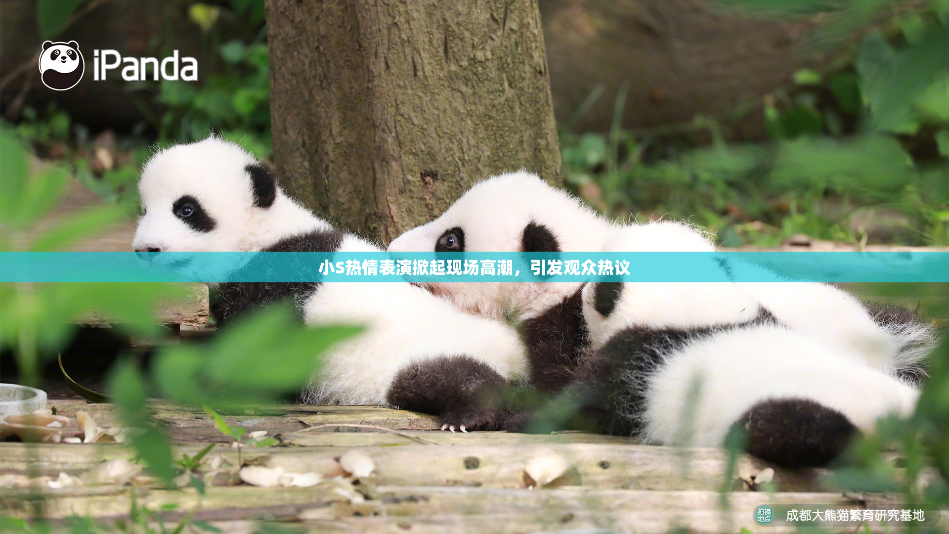 小S热情表演掀起现场高潮，引发观众热议