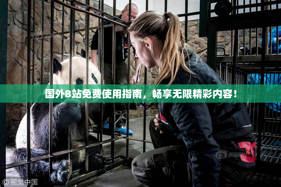 国外B站免费使用指南，畅享无限精彩内容！