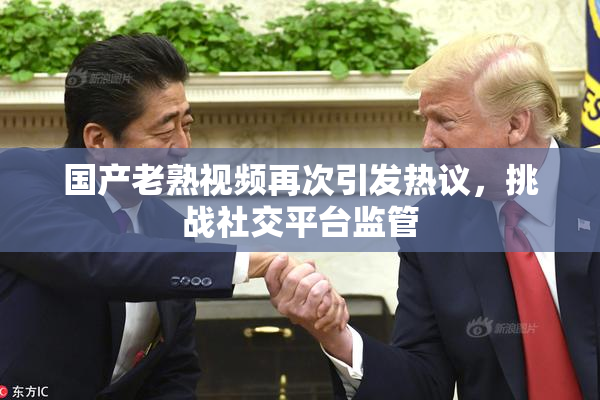 国产老熟视频再次引发热议，挑战社交平台监管