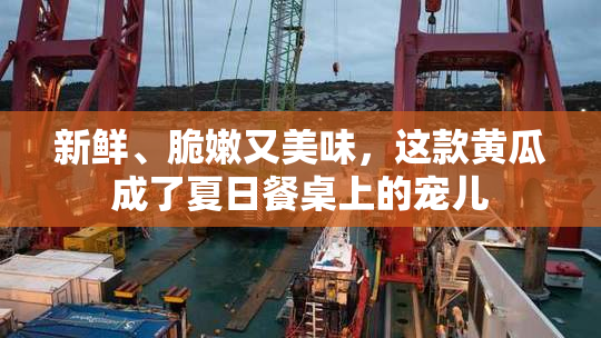 新鲜、脆嫩又美味，这款黄瓜成了夏日餐桌上的宠儿