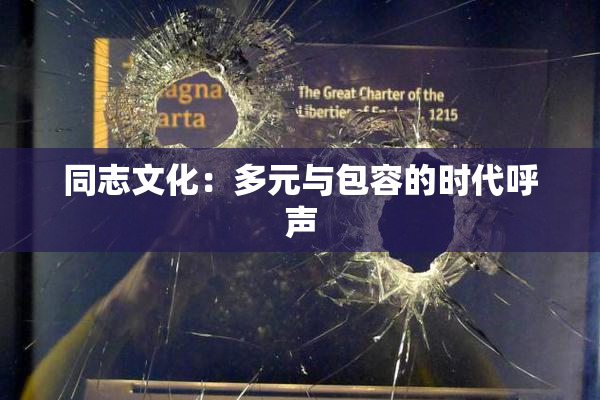 同志文化：多元与包容的时代呼声