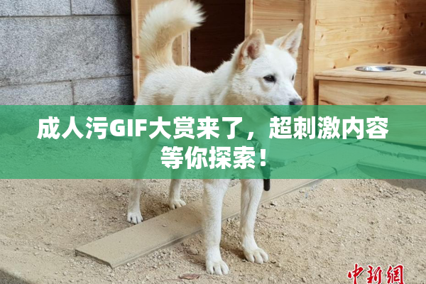 成人污GIF大赏来了，超刺激内容等你探索！