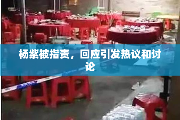杨紫被指责，回应引发热议和讨论