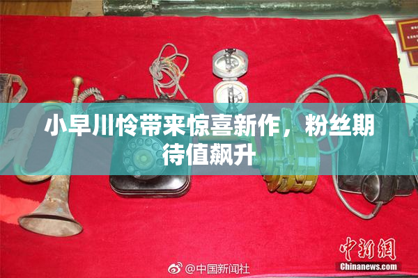 小早川怜带来惊喜新作，粉丝期待值飙升