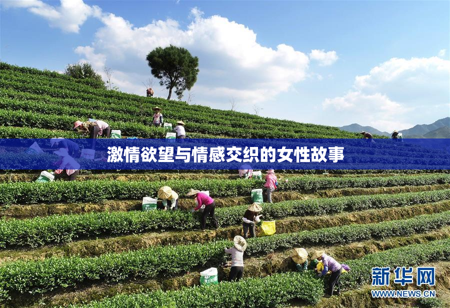 激情欲望与情感交织的女性故事