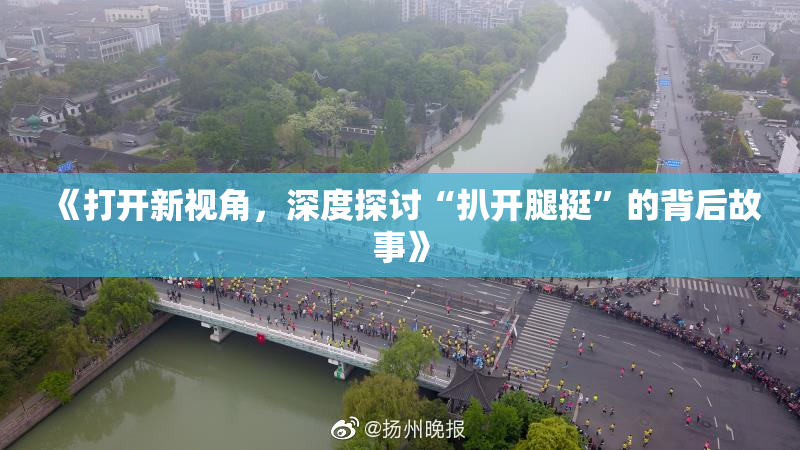 《打开新视角，深度探讨“扒开腿挺”的背后故事》
