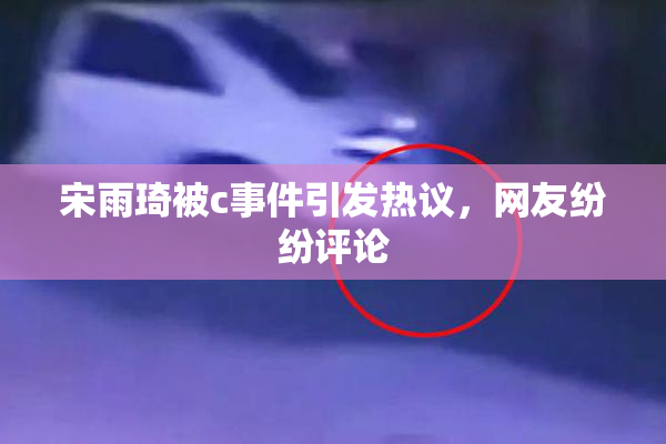 宋雨琦被c事件引发热议，网友纷纷评论