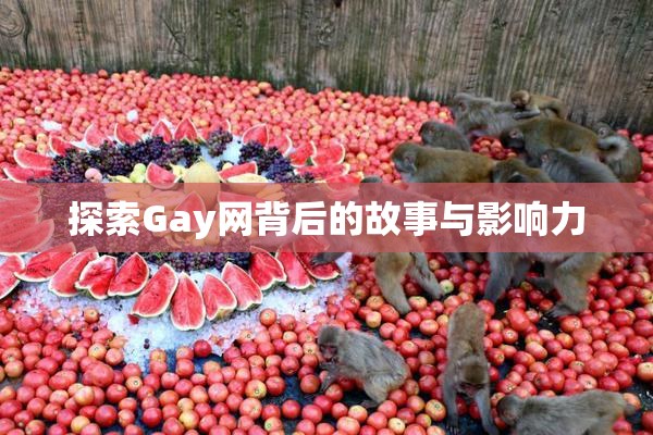 探索Gay网背后的故事与影响力