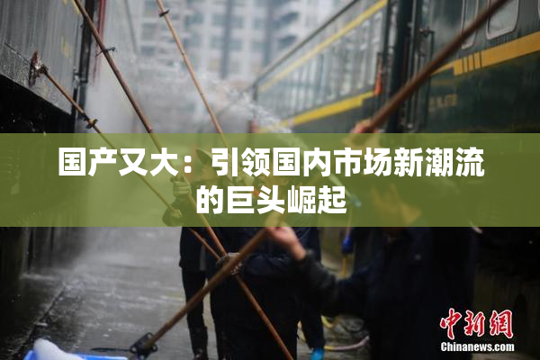 国产又大：引领国内市场新潮流的巨头崛起