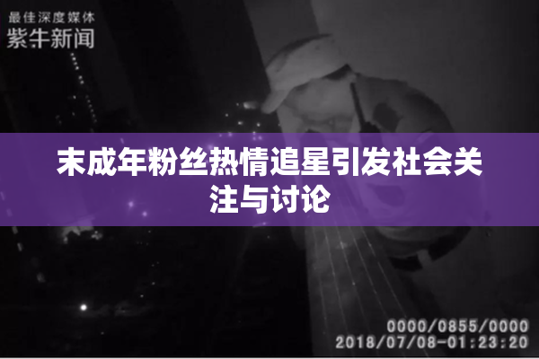 末成年粉丝热情追星引发社会关注与讨论