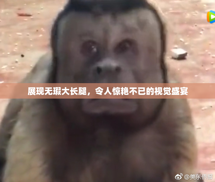展现无瑕大长腿，令人惊艳不已的视觉盛宴