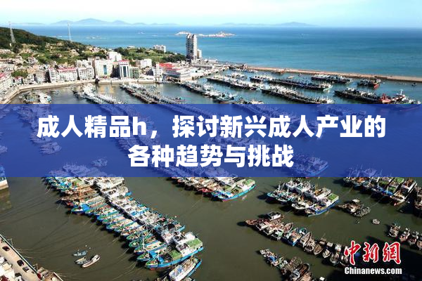 成人精品h，探讨新兴成人产业的各种趋势与挑战