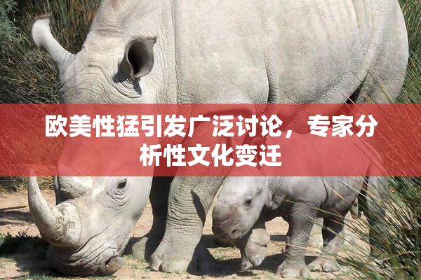 欧美性猛引发广泛讨论，专家分析性文化变迁