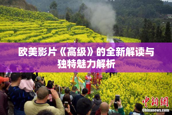 欧美影片《高级》的全新解读与独特魅力解析