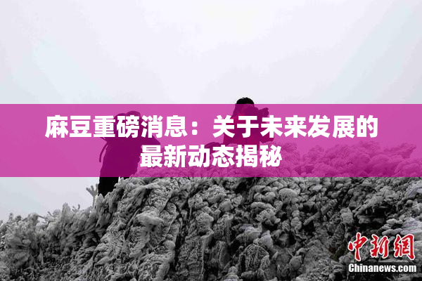 麻豆重磅消息：关于未来发展的最新动态揭秘