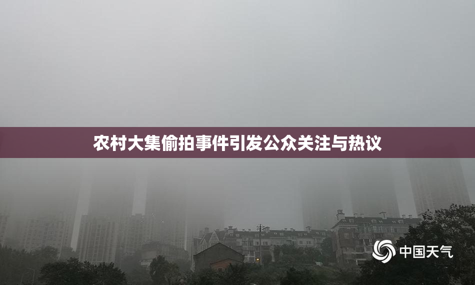 农村大集偷拍事件引发公众关注与热议
