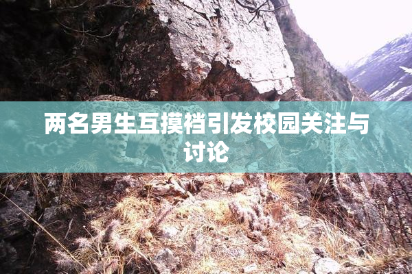 两名男生互摸裆引发校园关注与讨论