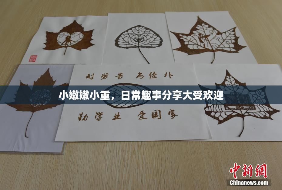 小嫩嫩小重，日常趣事分享大受欢迎