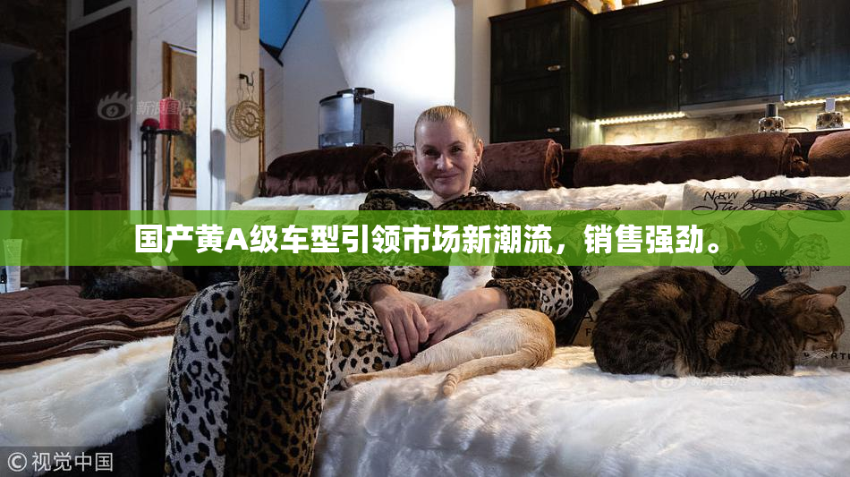 国产黄A级车型引领市场新潮流，销售强劲。