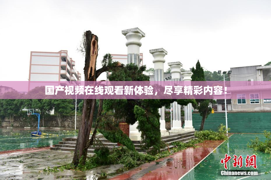 国产视频在线观看新体验，尽享精彩内容！