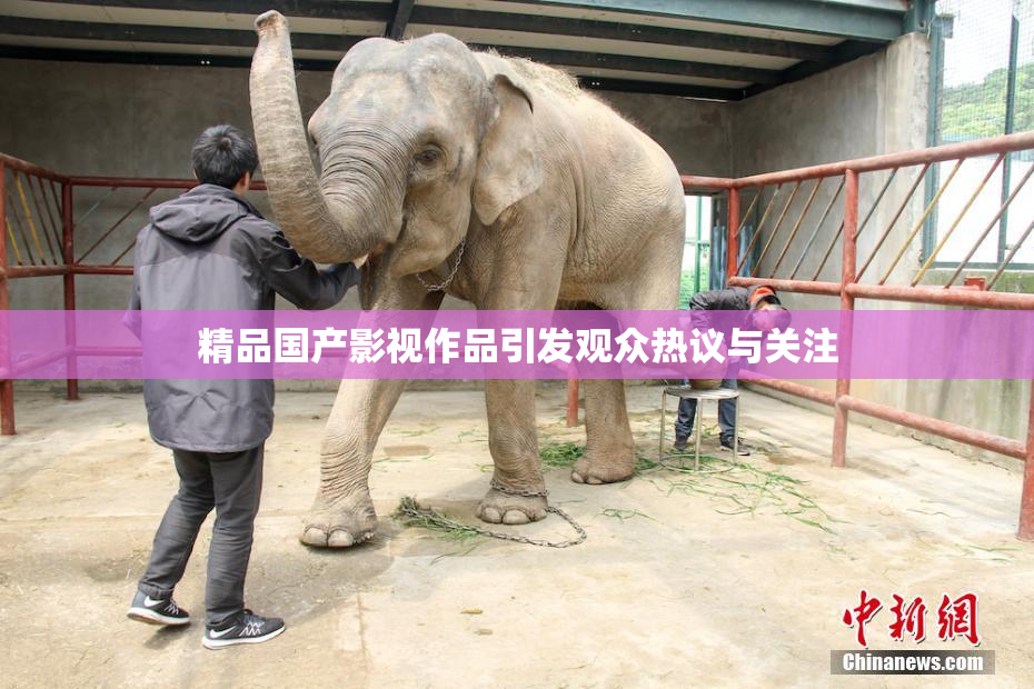 精品国产影视作品引发观众热议与关注